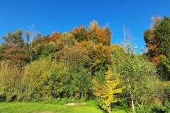 20211024_154714-scaled