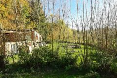 20211024_154740-scaled