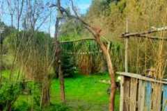 34afe04c-99fd-4fd7-b4ae-6f7728dcee3f