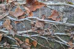 Herbst