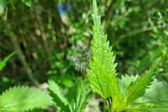 WhatsApp-Image-2024-05-10-at-11.28.45