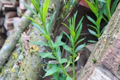 WhatsApp-Image-2024-05-10-at-11.29.11