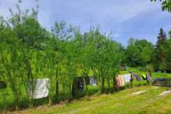 WhatsApp-Image-2024-05-10-at-11.29.48