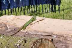 WhatsApp-Image-2024-05-10-at-12.11.23