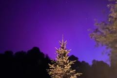 WhatsApp-Image-2024-05-11-at-07.25.02