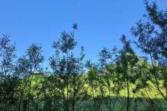 WhatsApp-Image-2024-05-12-at-08.09.46