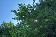 WhatsApp-Image-2024-05-12-at-08.09.54