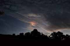 WhatsApp-Image-2024-05-12-at-08.09.58