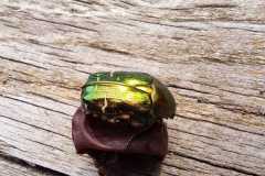 WhatsApp-Image-2024-09-16-at-08.48.19-1