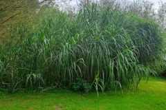 WhatsApp-Image-2024-09-16-at-08.48.21-1