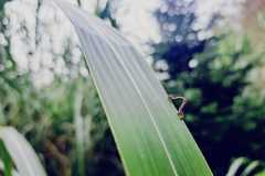 WhatsApp-Image-2024-09-16-at-08.48.38