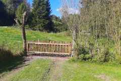 e361b59e-8eb0-4937-aafd-a27cb1b46b76